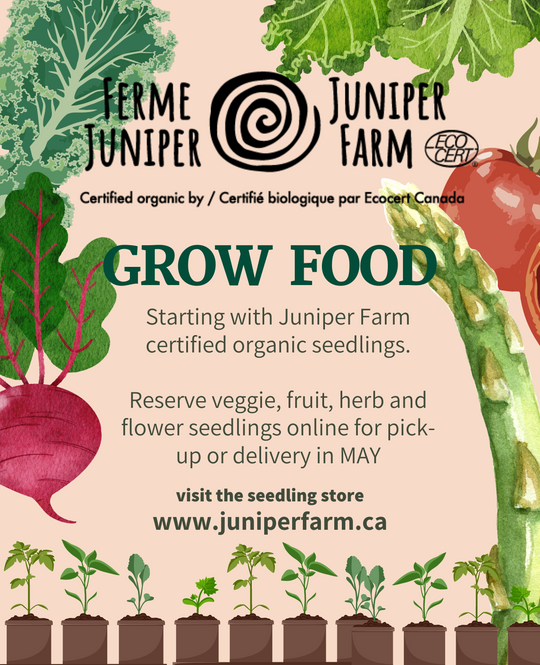 Seedling Sales at Juniper Farm