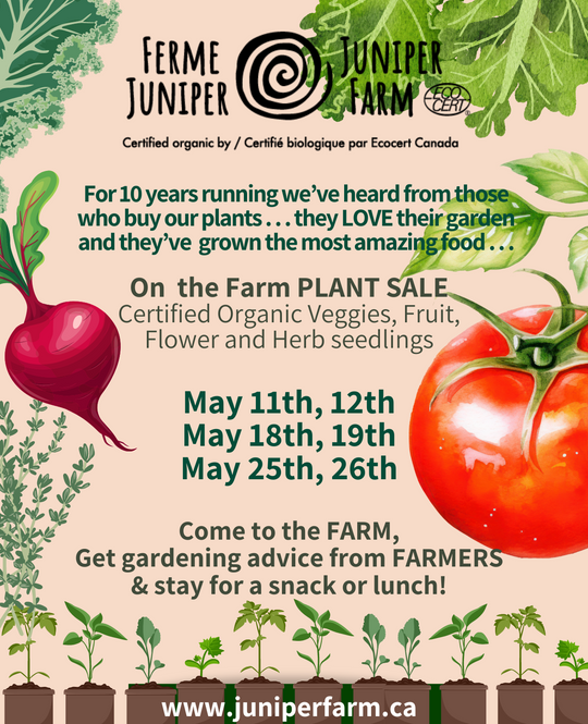 Seedling Sales at Juniper Farm