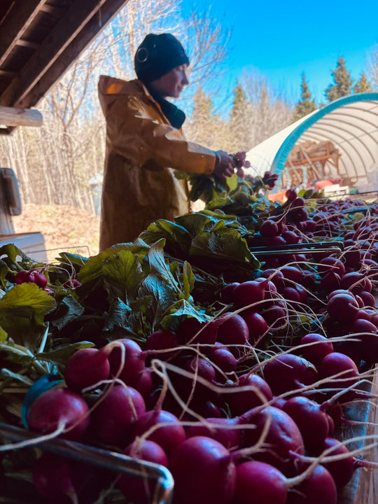 Westboro Market