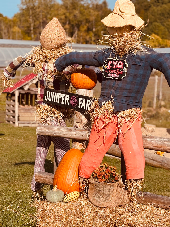 FALL FUN on the FARM!