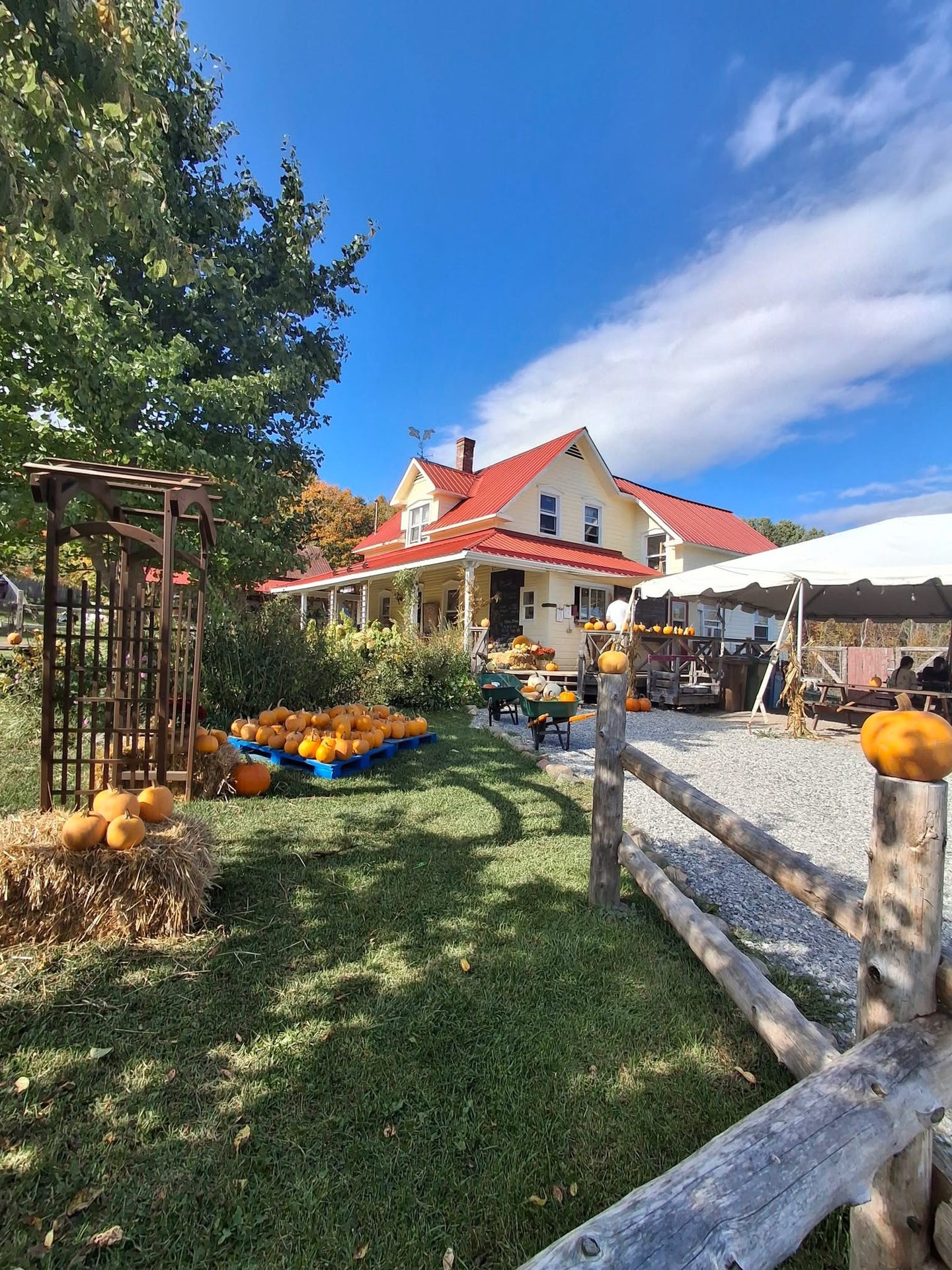 JUNIPER FARM
