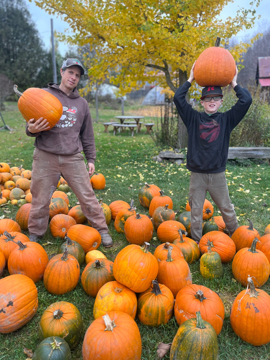 FALL on the FARM (PYOP)