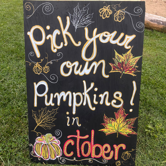 Pick Your Own Pumpkin