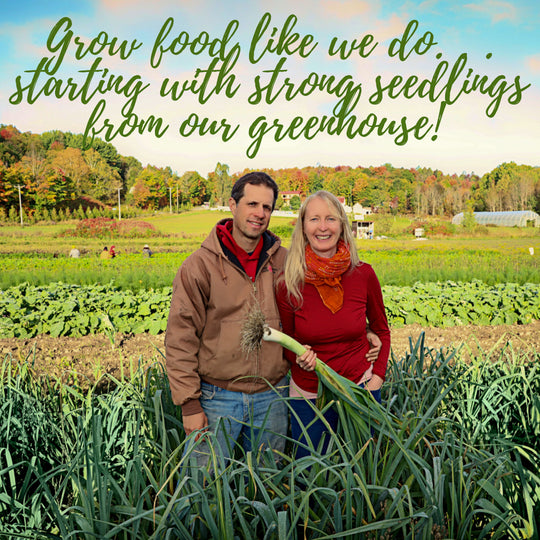Seedling Sales at Juniper Farm