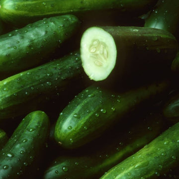 Cucumber-Organic Greenhouse