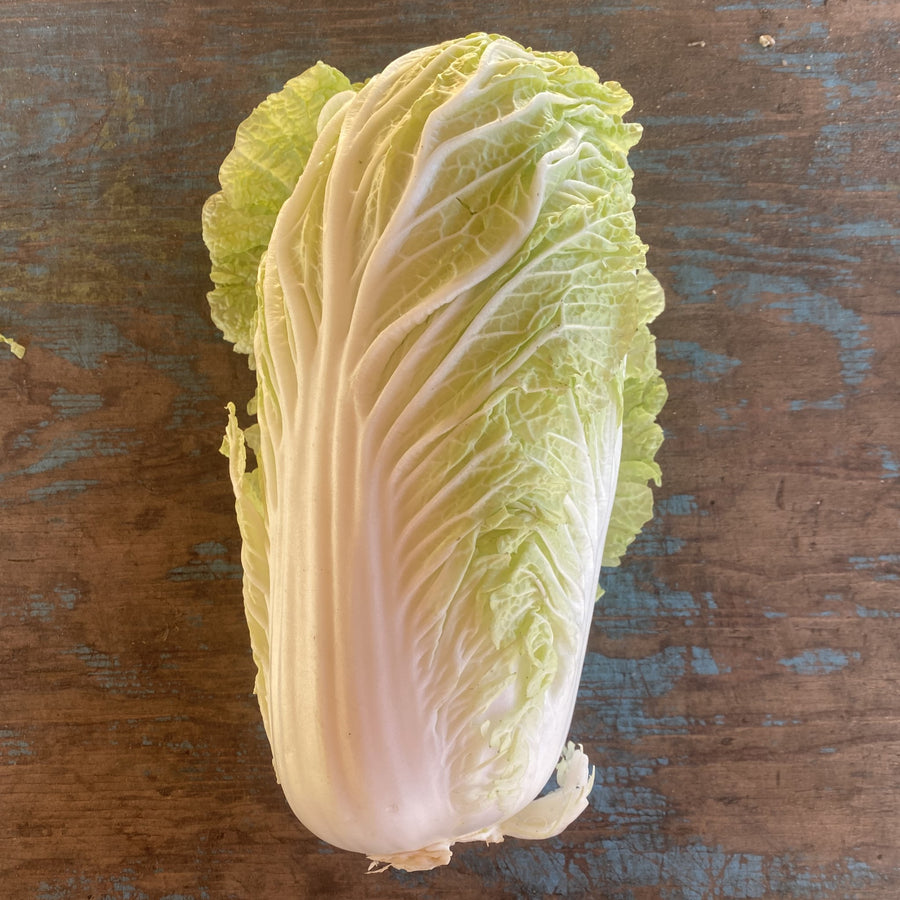 Cabbage-Ferme Agricola