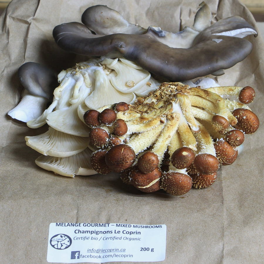 Mushrooms-Le Coprin