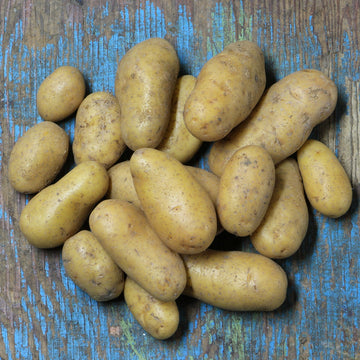 Potatoes-Organic QC