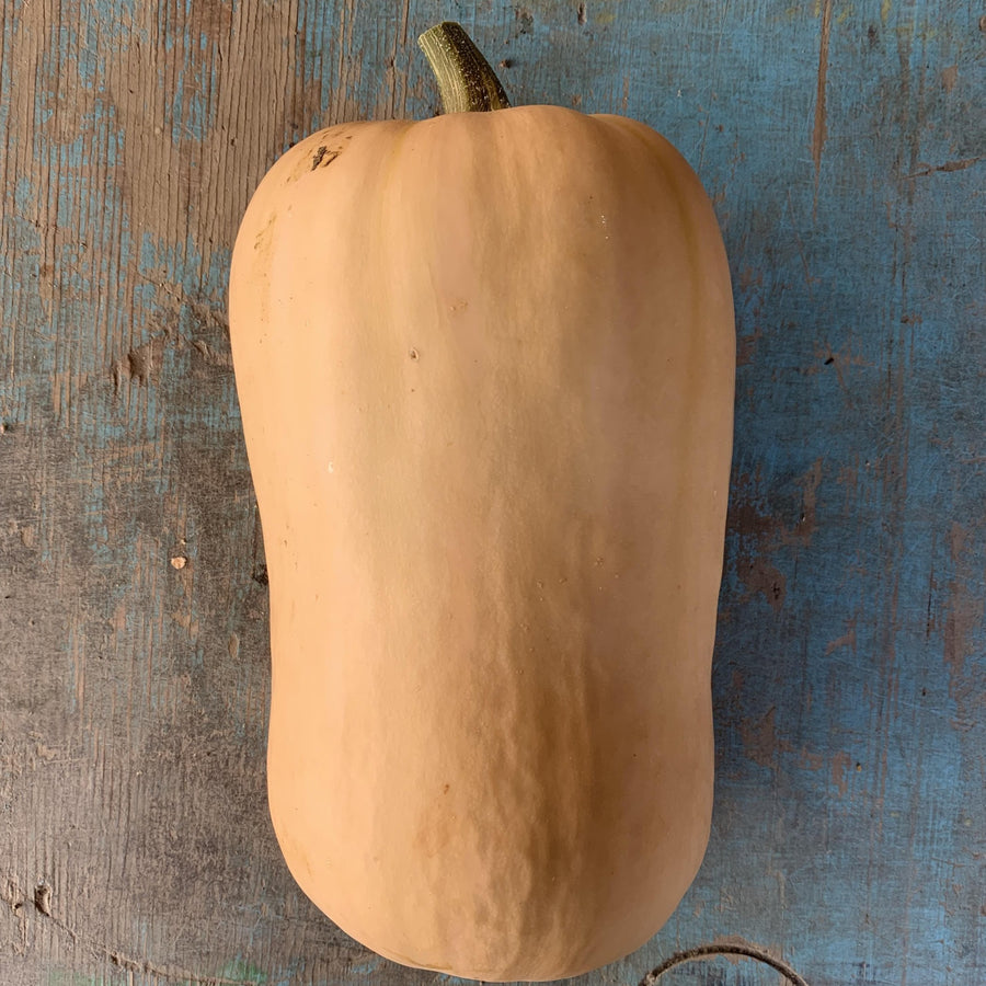 Squash