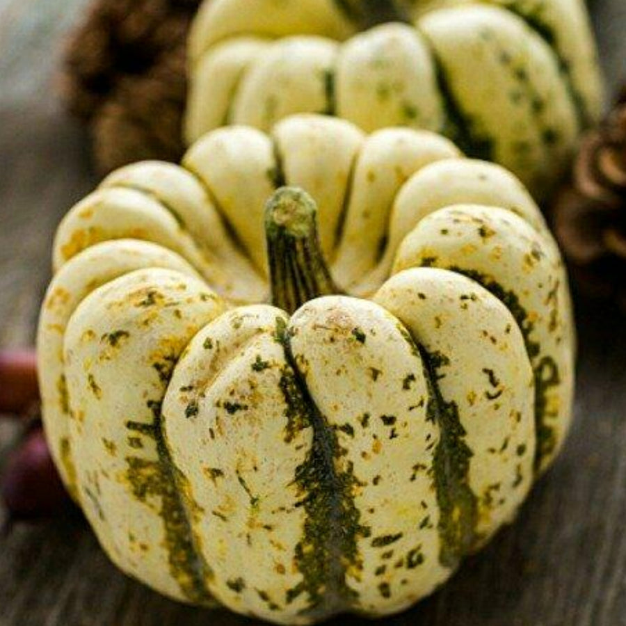 Courges