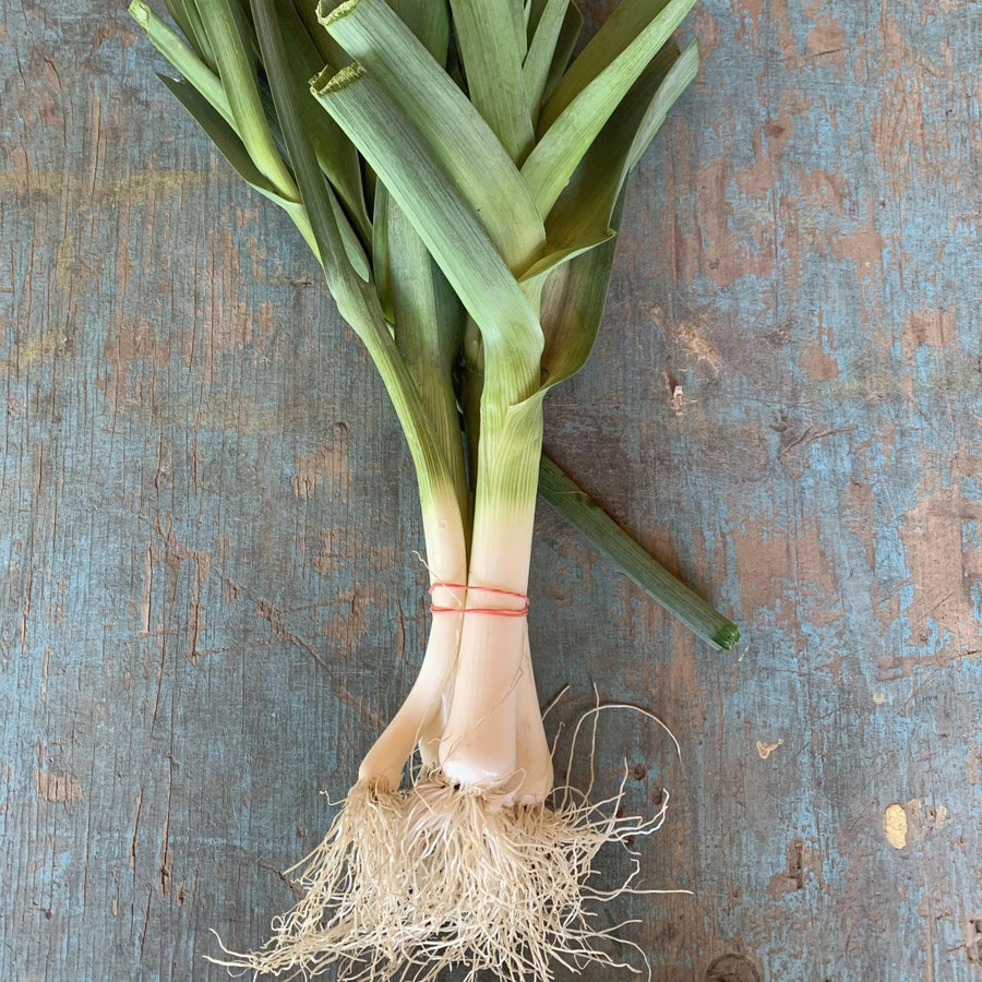 Leeks
